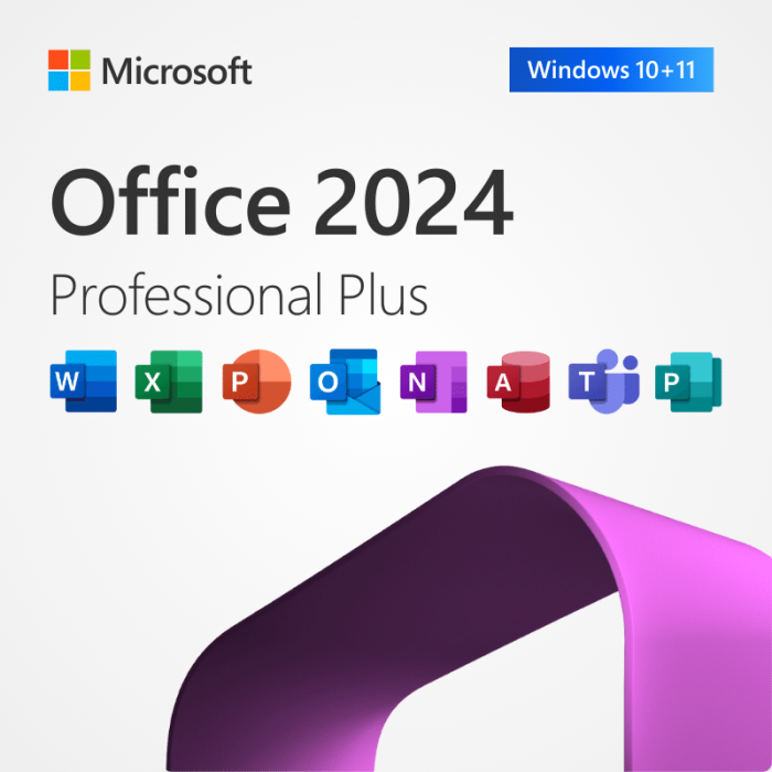 Office 2024 Professional Plus bezterminowa licencja / klucz produktu